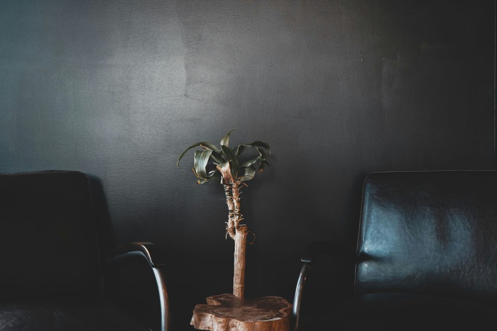 empty phycological safety couches in black